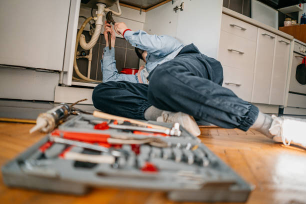 Best Shower Repair Services  in Carbon Cliff, IL