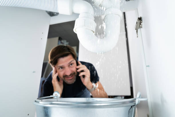 Best Affordable Plumbing Services  in Carbon Cliff, IL