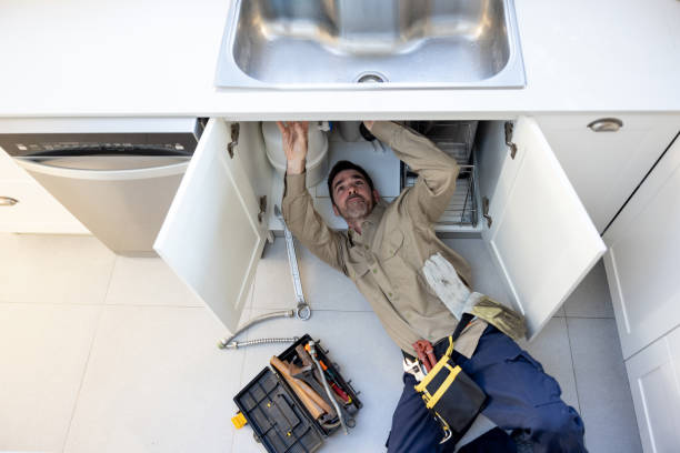 Best Plumbing Services Near Me  in Carbon Cliff, IL