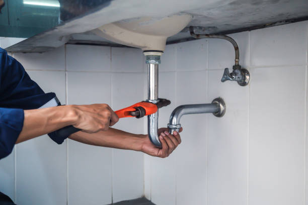 Best Commercial Plumbing Services  in Carbon Cliff, IL