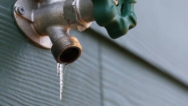 Best Drain Cleaning Services  in Carbon Cliff, IL