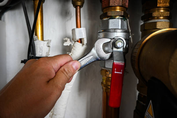 Trusted Carbon Cliff, IL Plumbing Experts